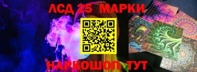 гидра Камышлов