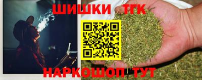 гидра Камышлов