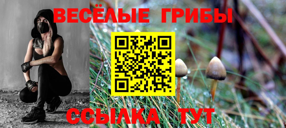 Галлюциногенные грибы MAGIC MUSHROOMS  Вход с VPN  Лесозаводск 